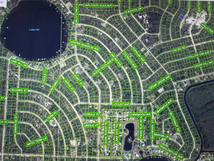 1230 Dogwood, Lake Placid, FL 33852 - #3