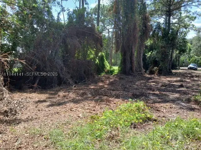 0000 Bobcat, Port Saint Lucie, FL 34952 - #3