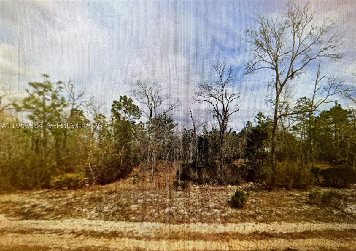 00 April, Interlachen, FL 32148 - #1
