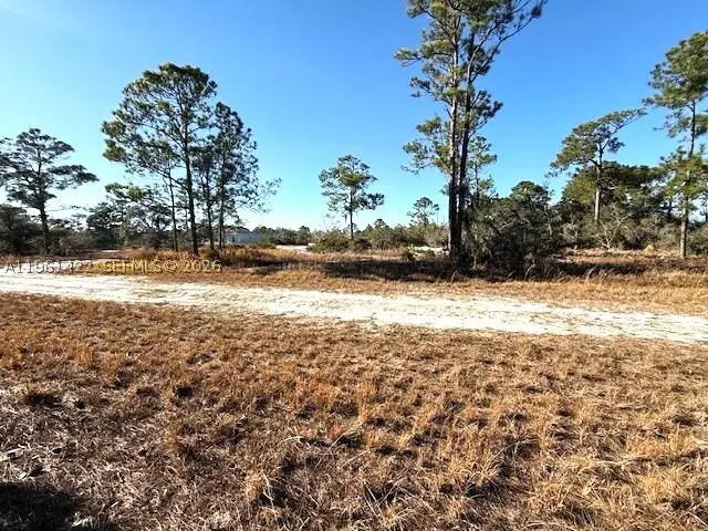 547 Branchwood, Lake Placid, FL 33852 - #1