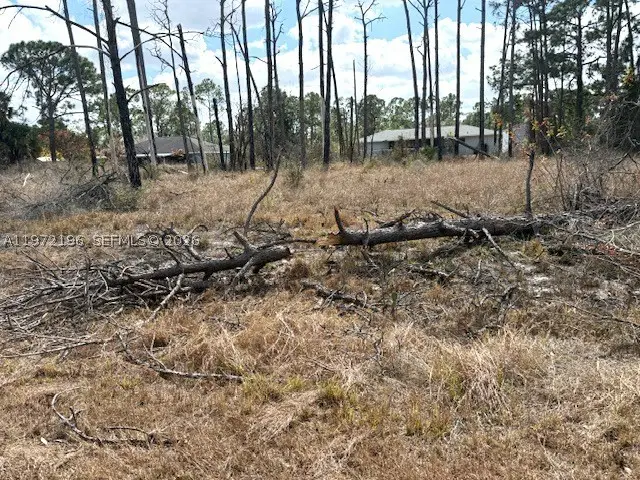245 Moon River, Lake Placid, FL 33852 - #2