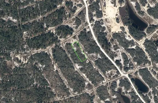 342 Gloaming, Lake Placid, FL 33852 - #2