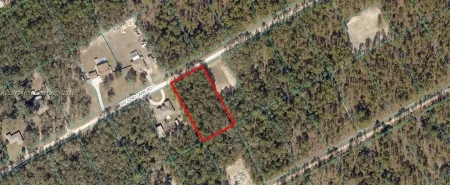 342 Gloaming, Lake Placid, FL 33852 - #3