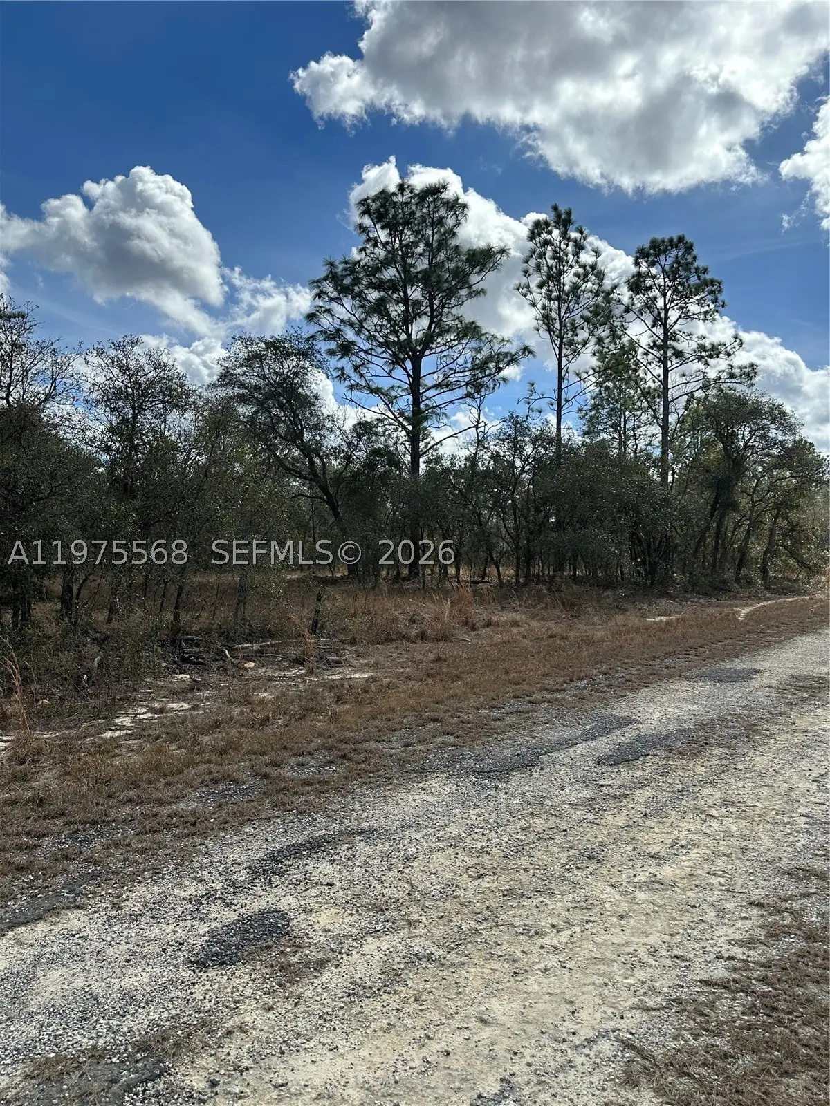 Address Withheld By Seller, Ocala, FL 34481 - #1