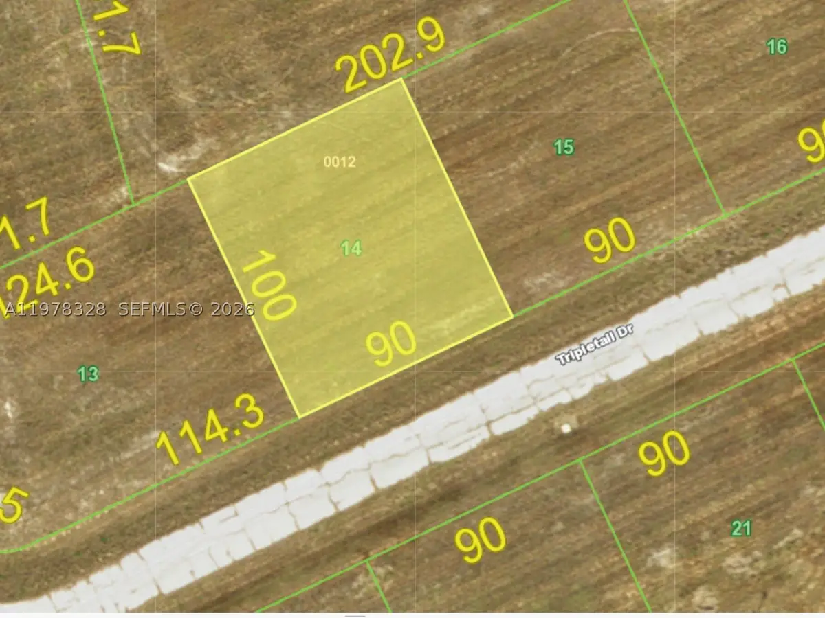 12394 Tripletail, Placida, FL 33946 - #1