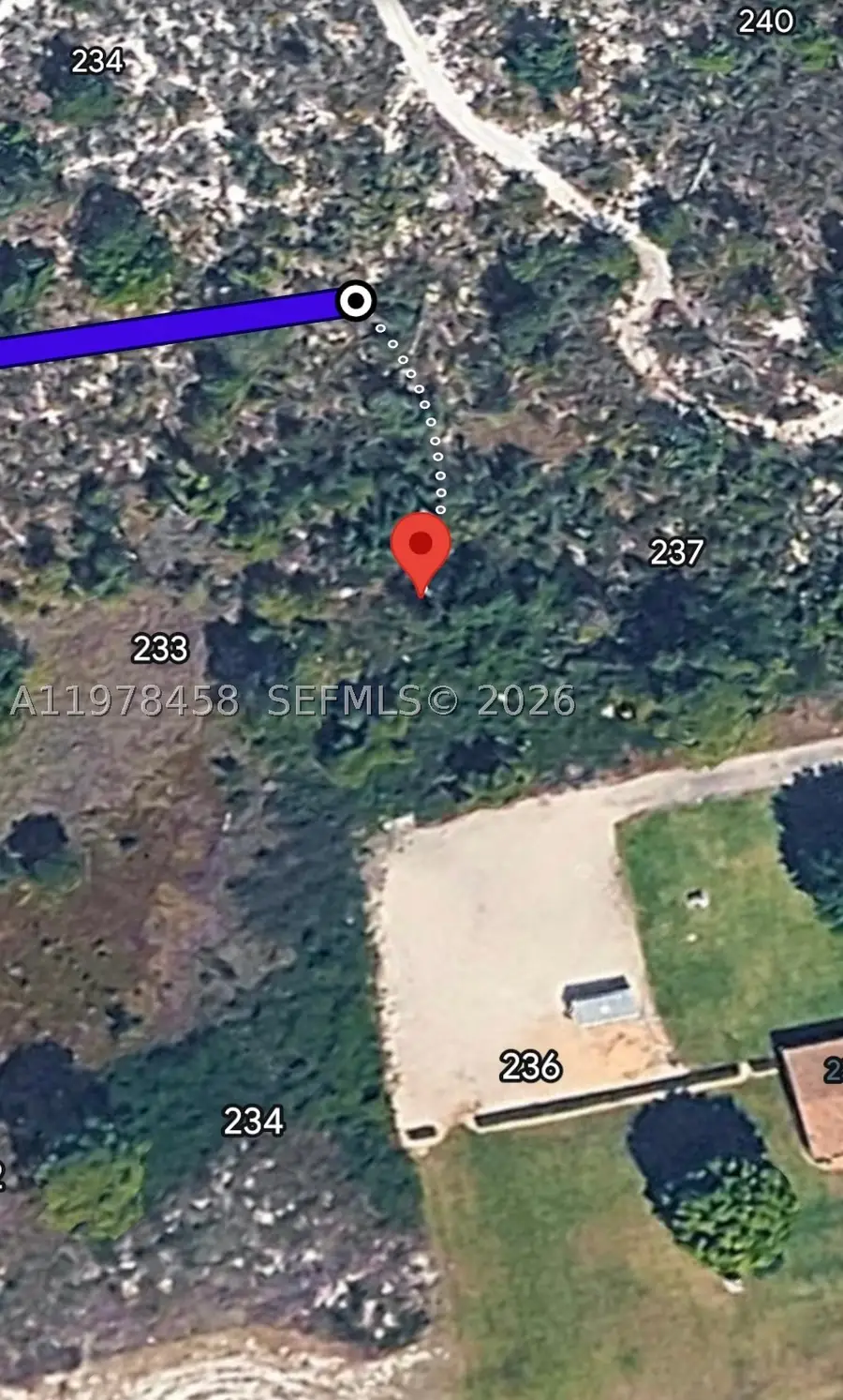 235 Pershing, Lake Placid, FL 33852 - #2