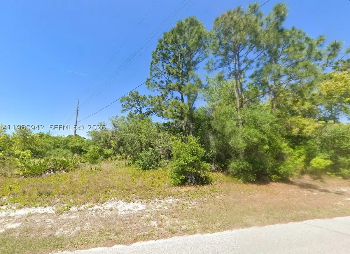 235 Deerwalk, Lake Placid, FL 33852 - #1