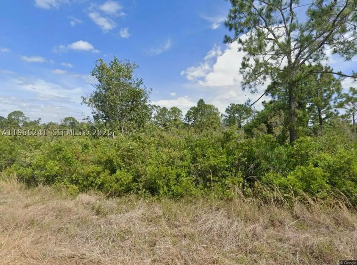 1081 Beaver, Lake Placid, FL 33852 - #1