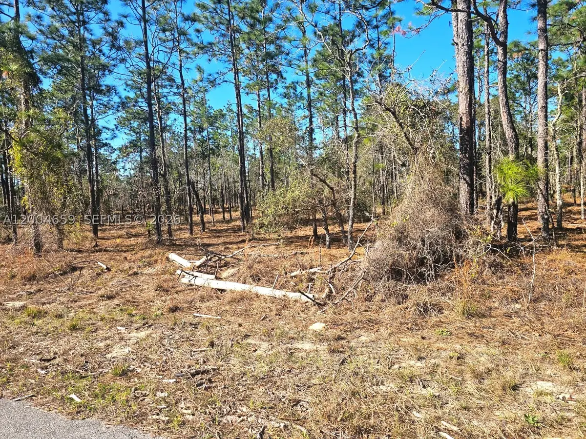 NO Situs NW Shamrock, Rainbow Lakes Estates, FL 34431 - #1