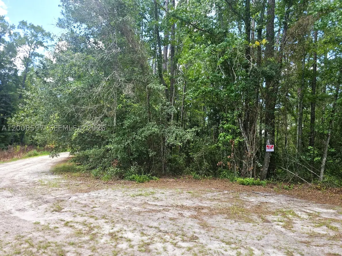 No situs Se 2nd, Palatka, FL 32177 - #1
