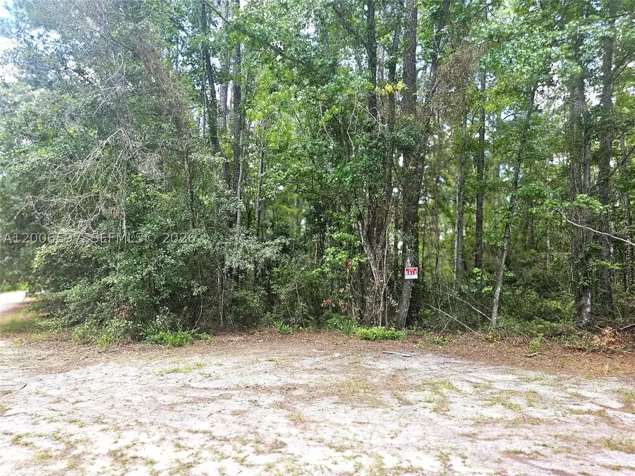 No situs Se 2nd, Palatka, FL 32177 - #2