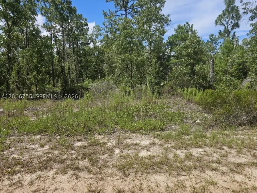 136 Utah, Hawthorne, FL 32640 - #3