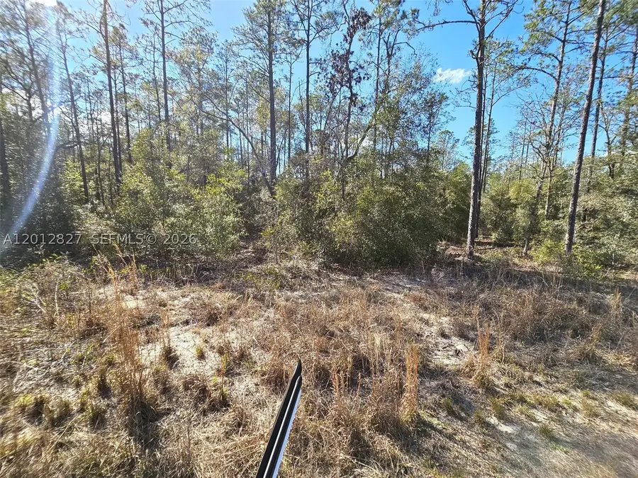 No situs SW Breezy Point, Rainbow Lakes Estates, FL 34431 - #3