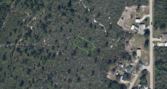1425 Doolittle, Lake Placid, FL 33852 - #1