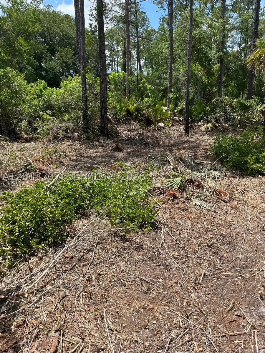 117 Lodge Pole, Georgetown, FL 32139 - #3