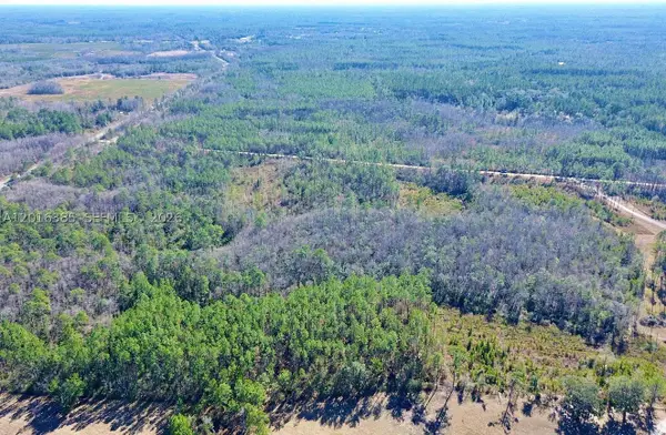 Vacant Land Sands Loop SW Greenville, Other Fl City, FL 32331