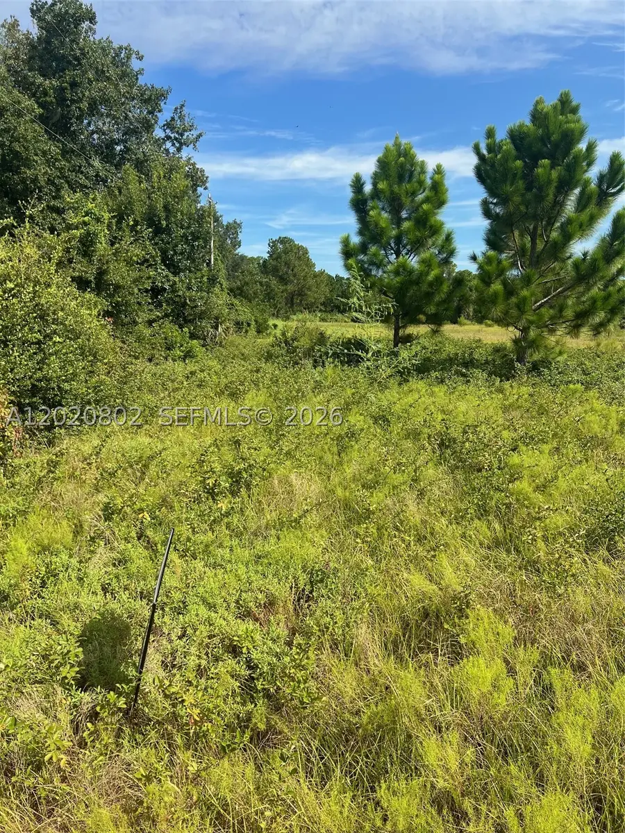 Huntington Shortcut, Crescent City, FL 32112 - #2