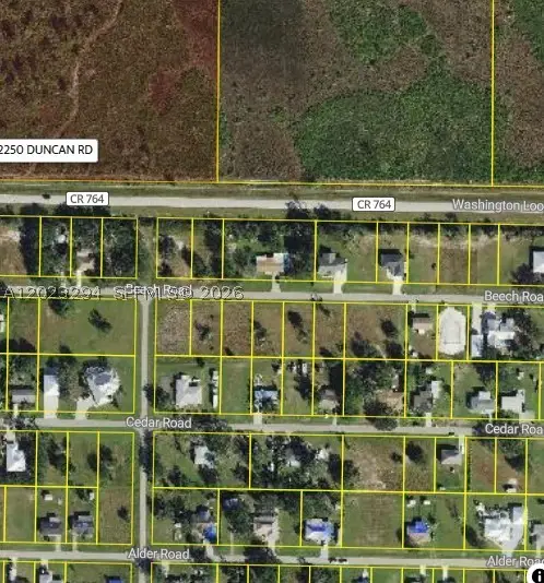 30155 Beech, Punta Gorda, FL 33982 - #1