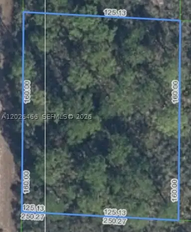 1139 Brook Hollow, Lake Placid, FL 33852 - #1