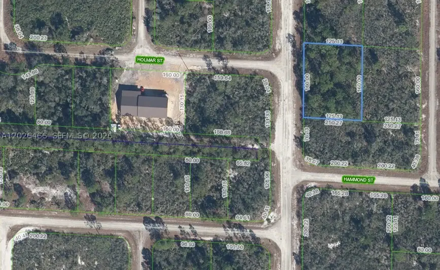 1139 Brook Hollow, Lake Placid, FL 33852 - #2