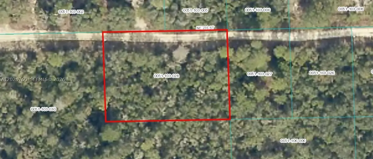 TBD NE 236, Fort McCoy, FL 32134 - #1