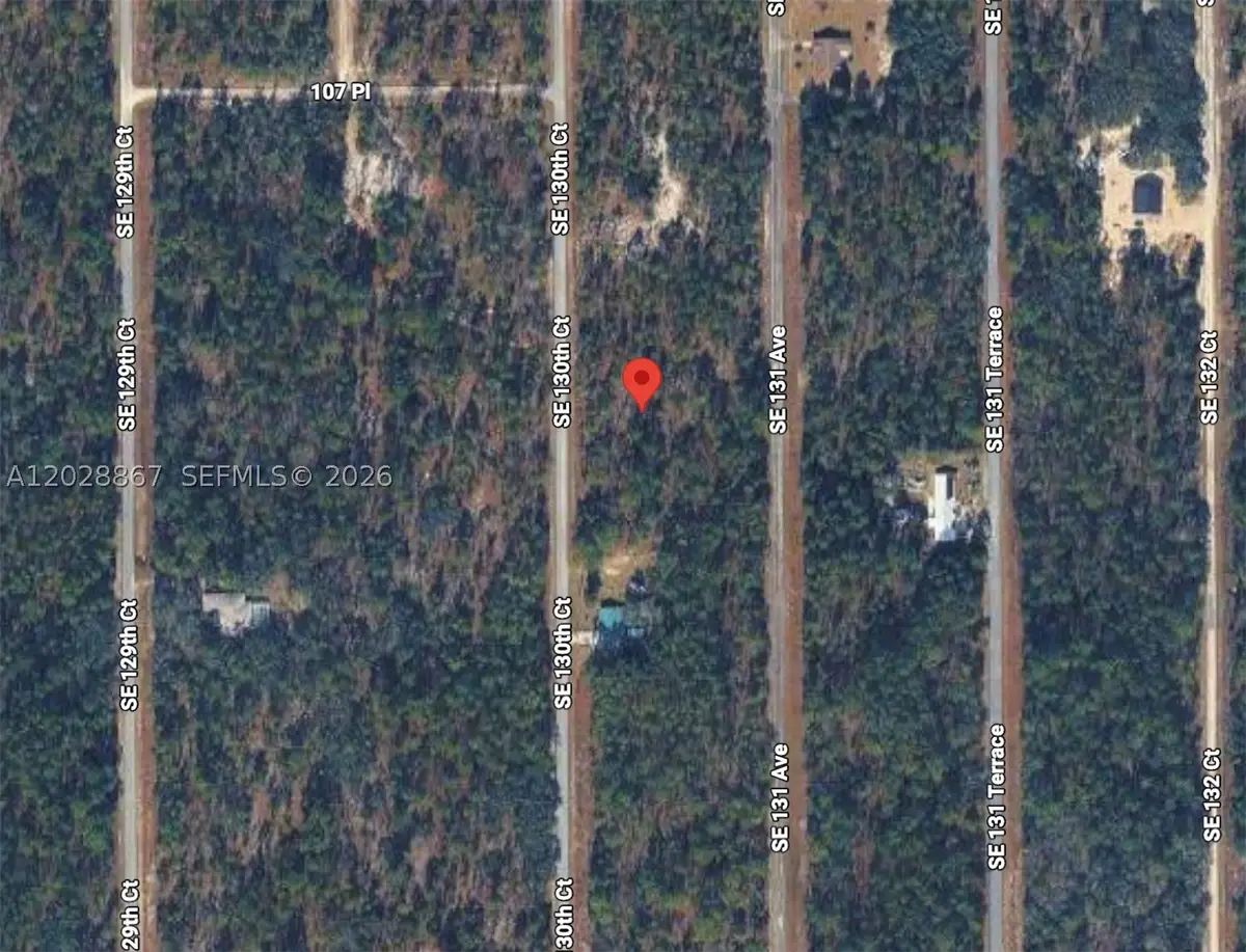 Lot 49 SE 130th, Rainbow Lakes Estates, FL 34431 - #1