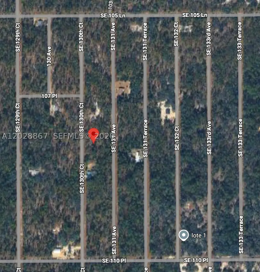 Lot 49 SE 130th, Rainbow Lakes Estates, FL 34431 - #3