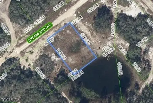 517 Dreamland, Lake Placid, FL 33852 - #1