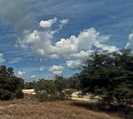 517 Dreamland, Lake Placid, FL 33852 - #2
