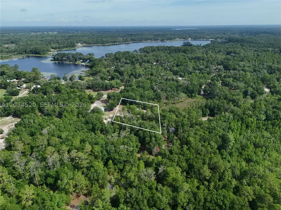 141 Strawberry, Welaka, FL 32181 - #3