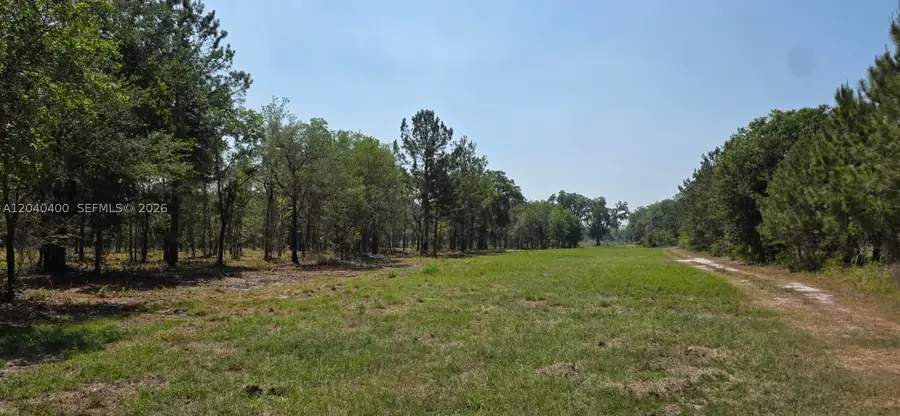 xx SE 225th, Hawthorne, FL 32640 - #2