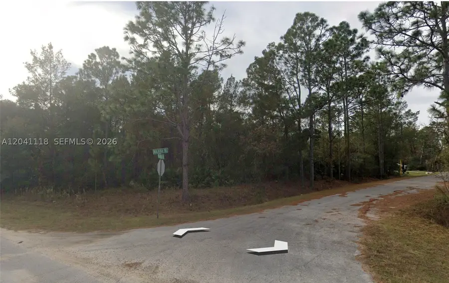 0 Malauka, Silver Springs Shores East, FL 32179 - #3