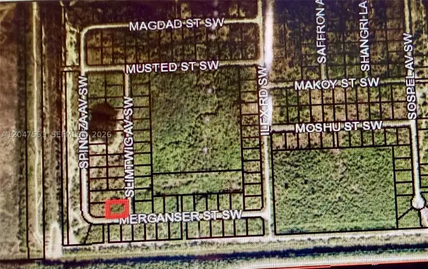 Merganser St SW & Slimtwig, Palm Bay, FL 32908