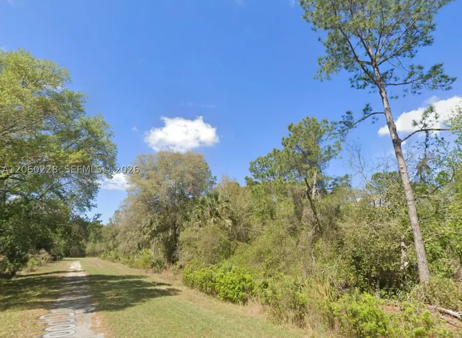 W Edgewood, Georgetown, FL 32139 - #2