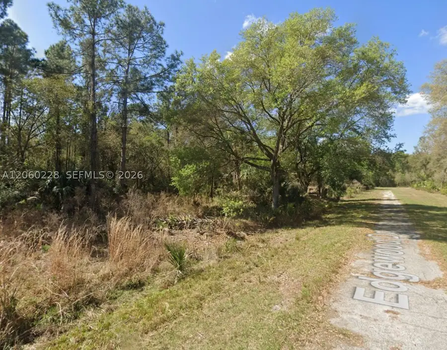W Edgewood, Georgetown, FL 32139 - #3