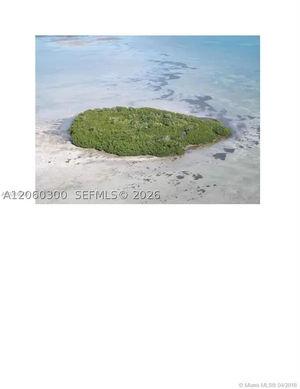 99 Don Quixotebig Pine, Big Pine Key, FL 33043