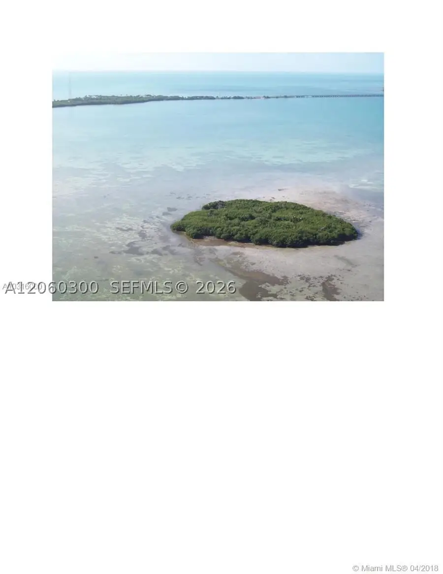 99 Don Quixotebig Pine, Big Pine Key, FL 33043 - #2