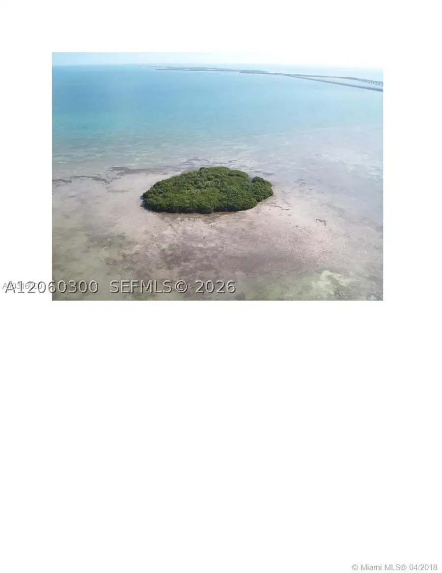 99 Don Quixotebig Pine, Big Pine Key, FL 33043 - #3