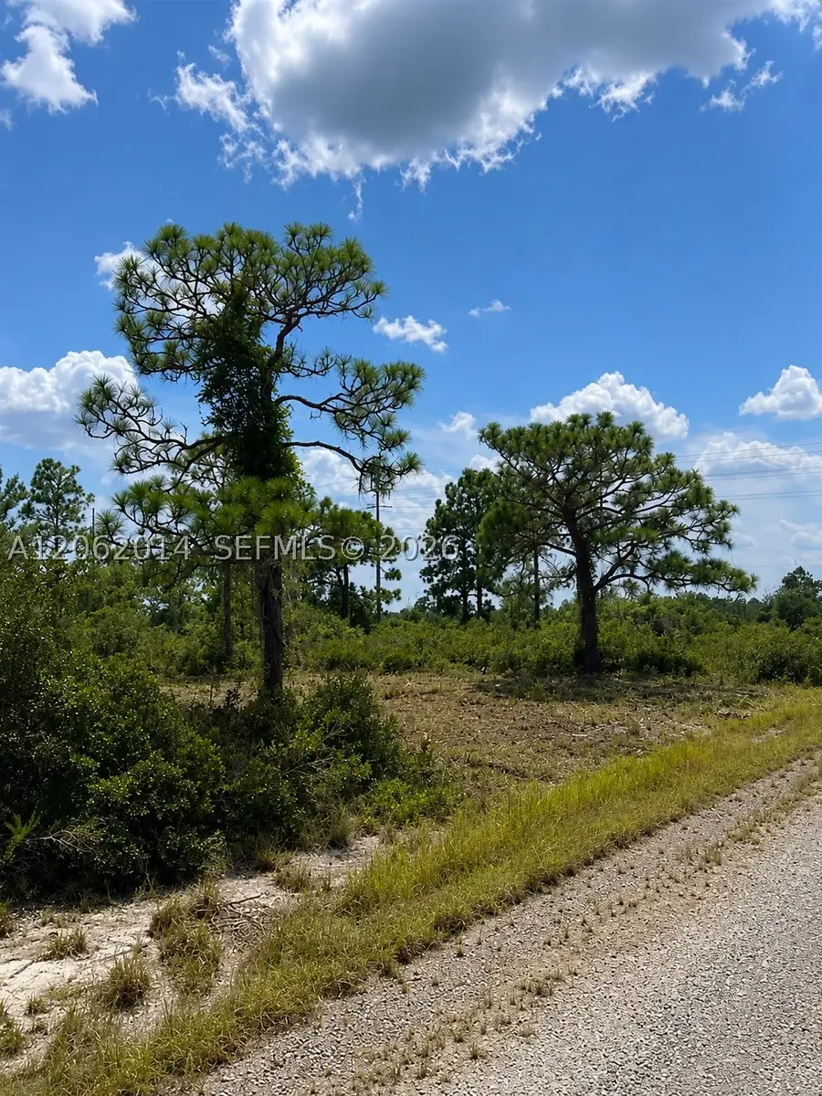 3554 Mariana, Lake Placid, FL 33852 - #3