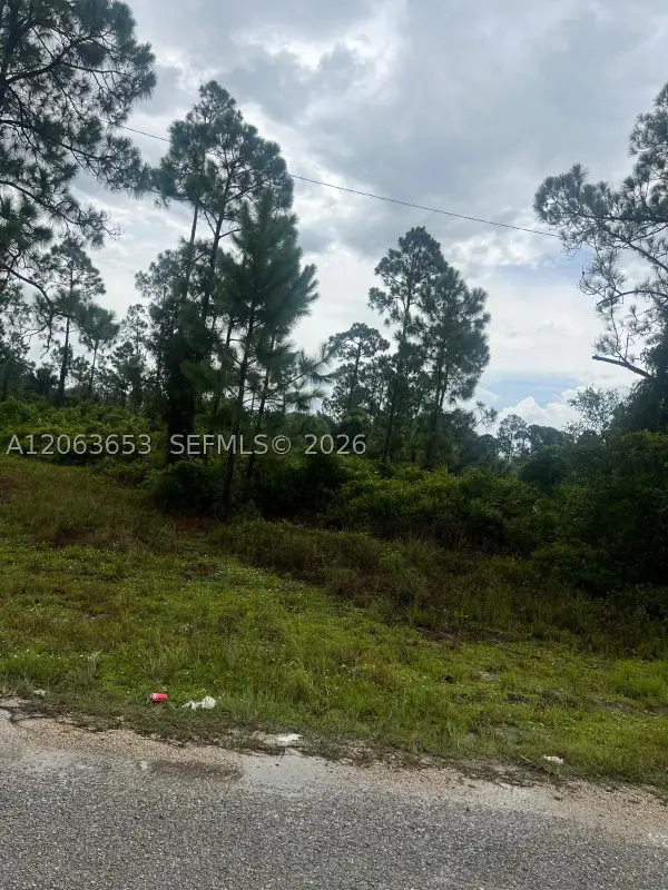Address Withheld By Seller, Lehigh Acres, FL 33974