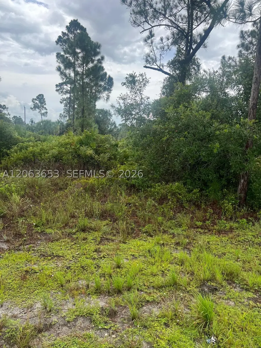 Address Withheld By Seller, Lehigh Acres, FL 33974 - #2