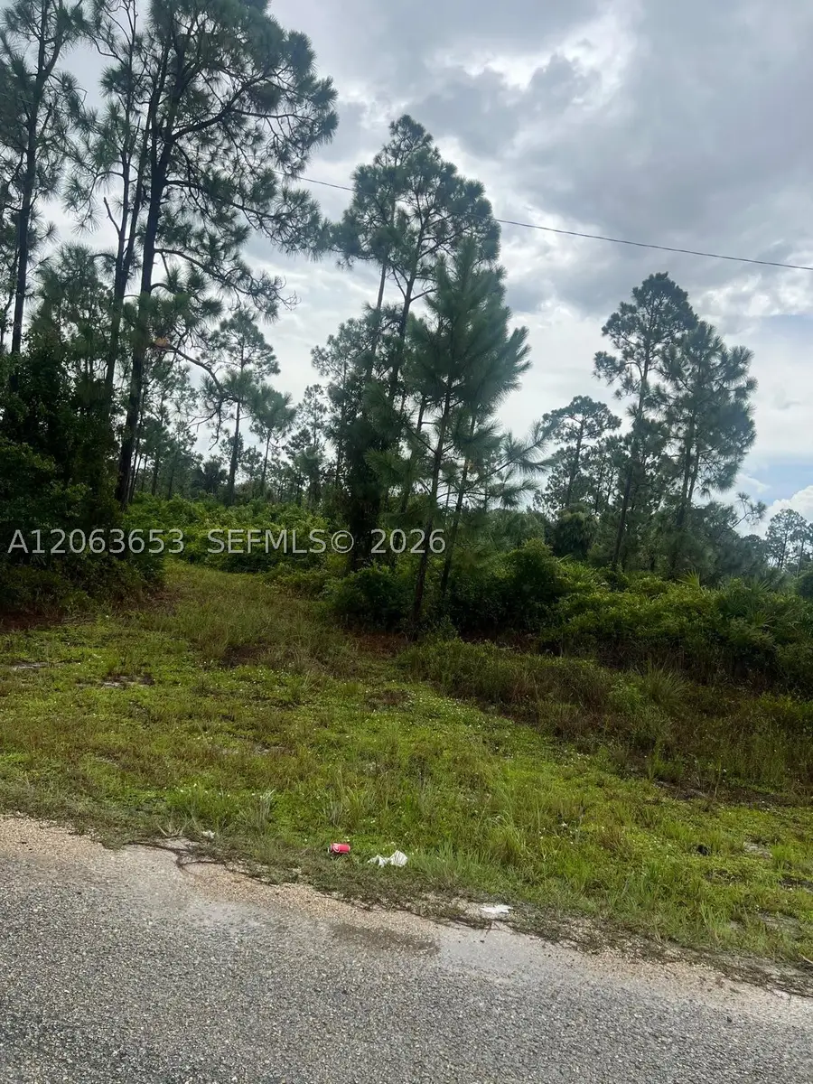 Address Withheld By Seller, Lehigh Acres, FL 33974 - #3
