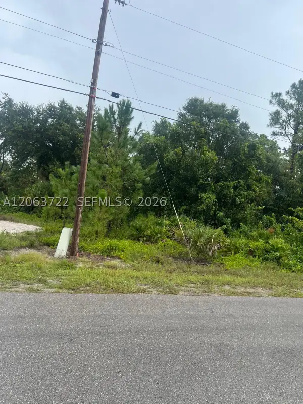 Address Withheld By Seller, Lehigh Acres, FL 33974