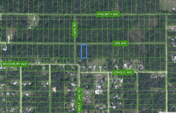 1141 Iris, Sebring, FL 33875
