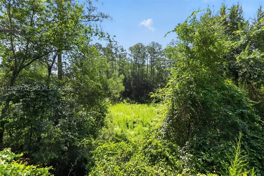 119 Ramsey, Melrose, FL 32666 - #3