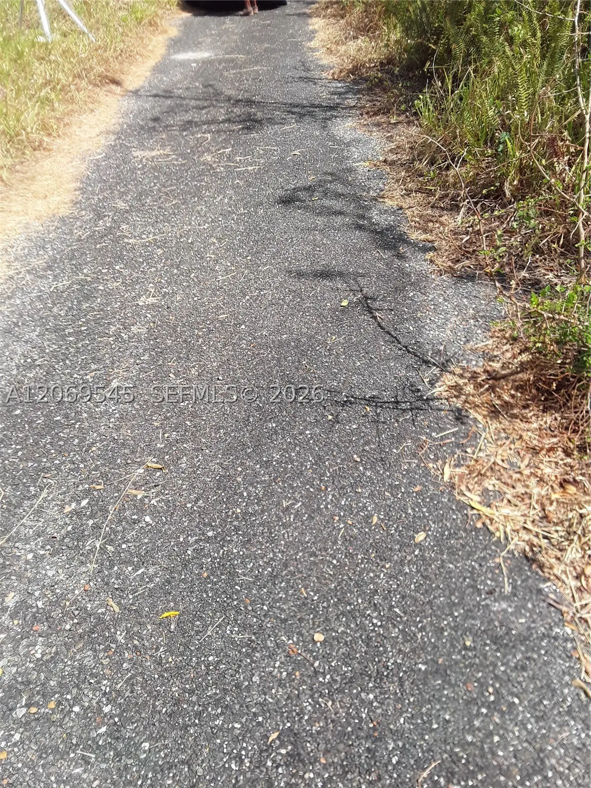 PART OF MINARD PEN None, Almont, FL  - #1