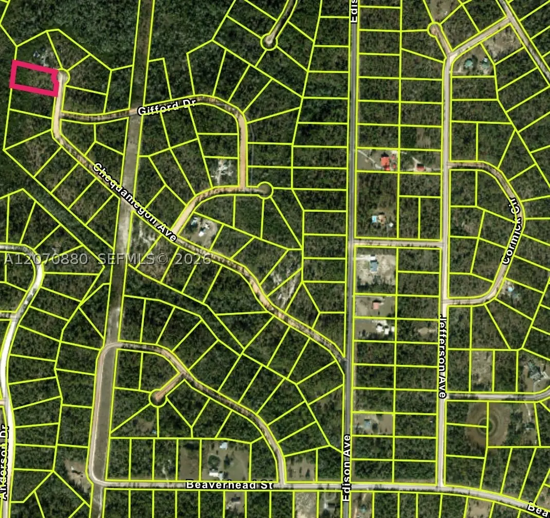 0 Chequamegon, Other Fl City, FL 32420 - #1