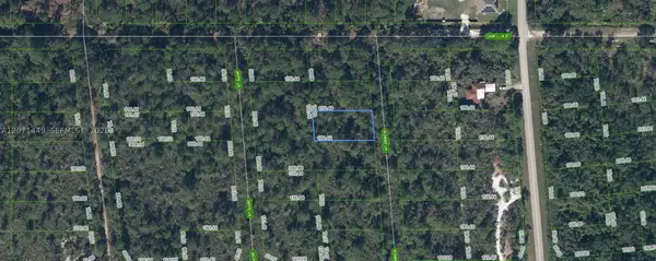 722 Ronnie, Lake Placid, FL 33852