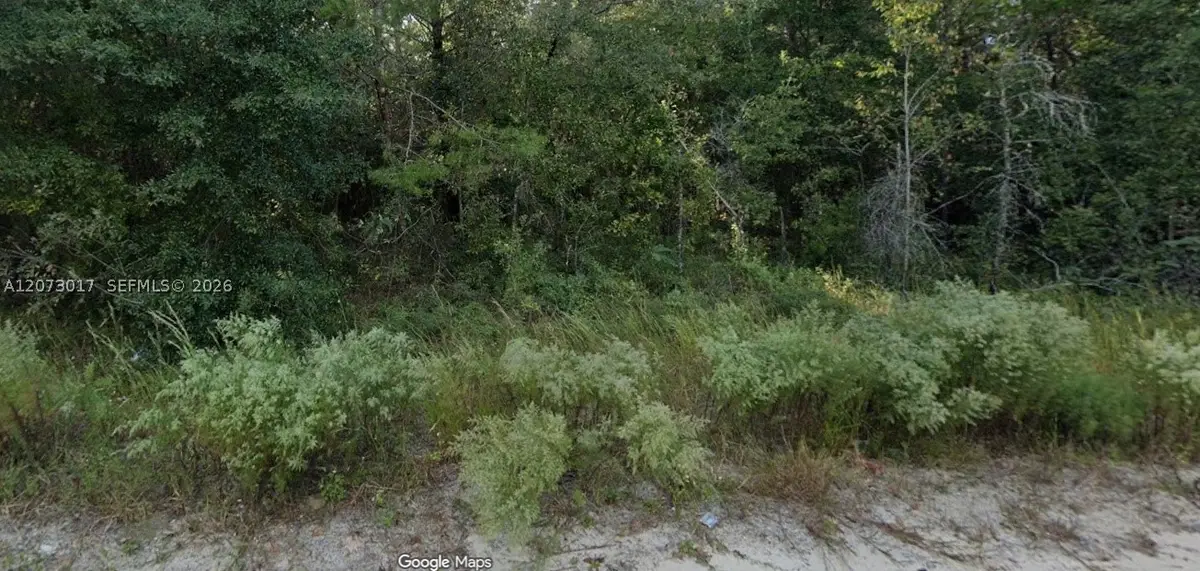 7696 Casa Grande, Keystone Heights, FL 32656 - #1