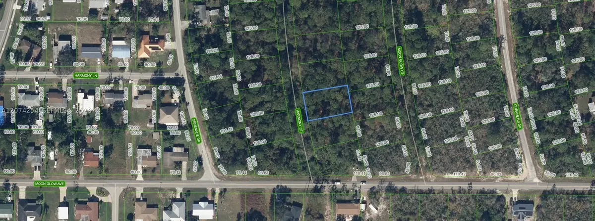 209 Harmony, Lake Placid, FL 33852 - #1